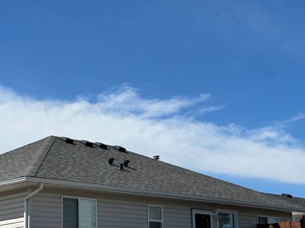 Professional Roofing Service in Cornelius, OR